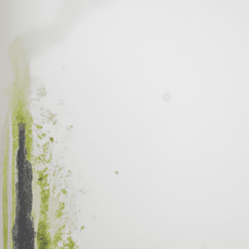 Mold growth on wall after water damage showing black and green colonies