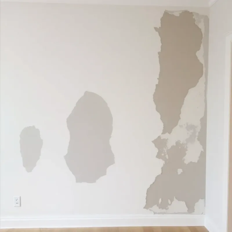 Insurance policy document with exclusion clauses highlighted