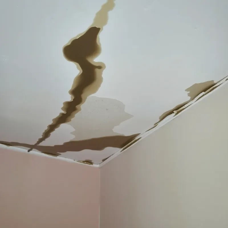 Interior water damage showing ceiling stains, soft drywall, and mold growth patterns